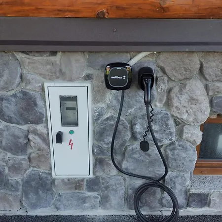 Log Mountain Mama Villa